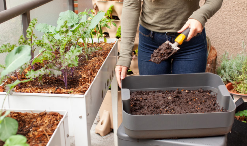 simpler and more successful